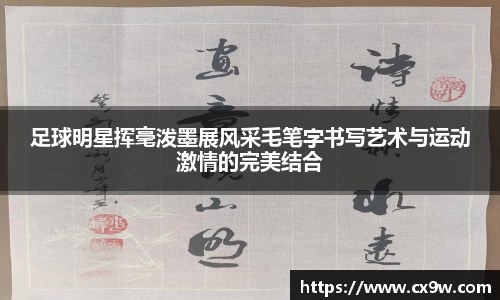 星空综合体育官网