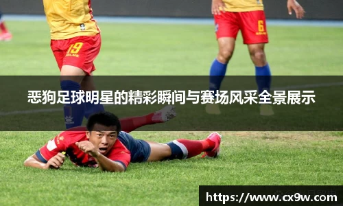 恶狗足球明星的精彩瞬间与赛场风采全景展示